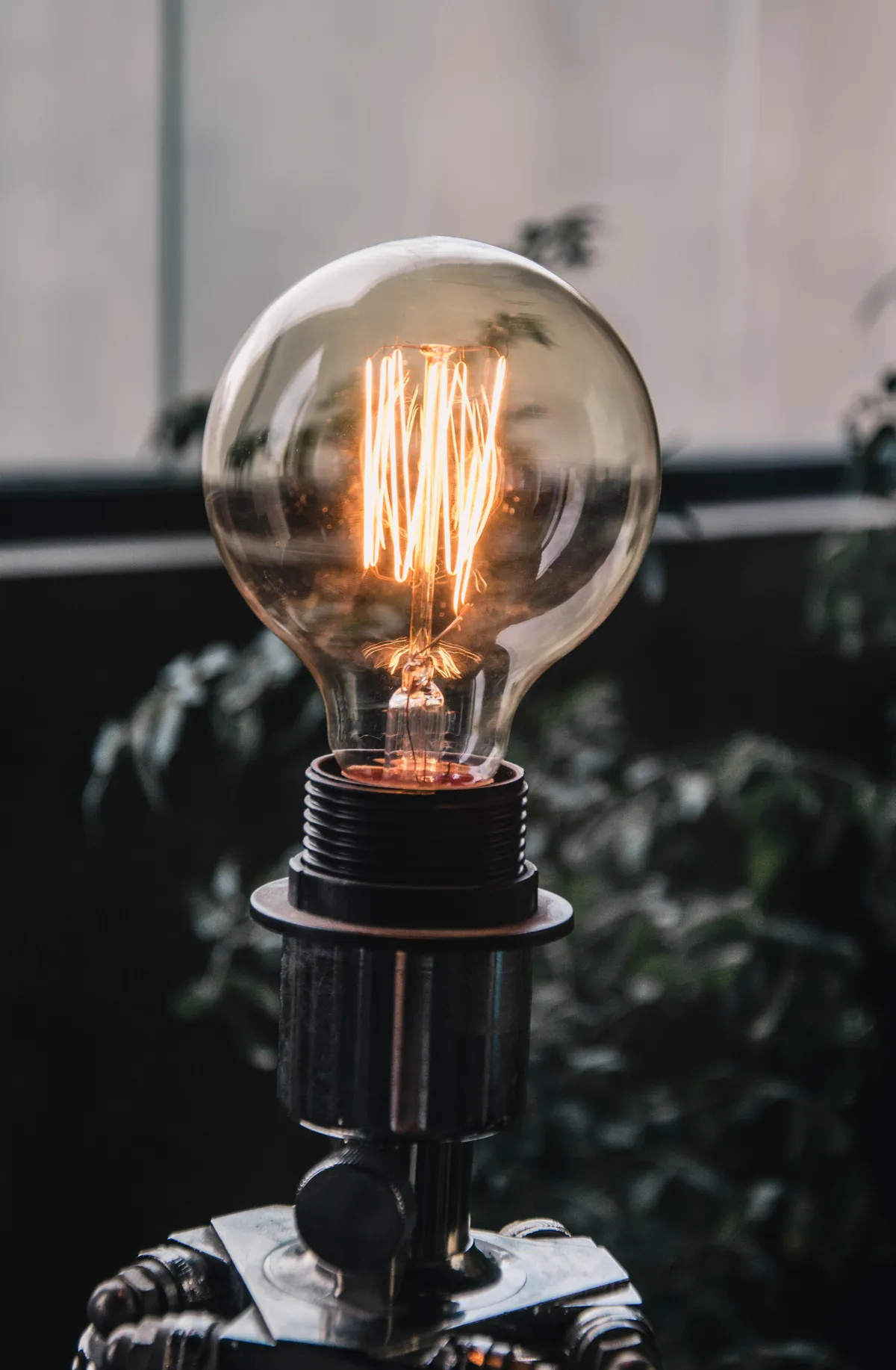 Glowing filament light bulb in front of green plants