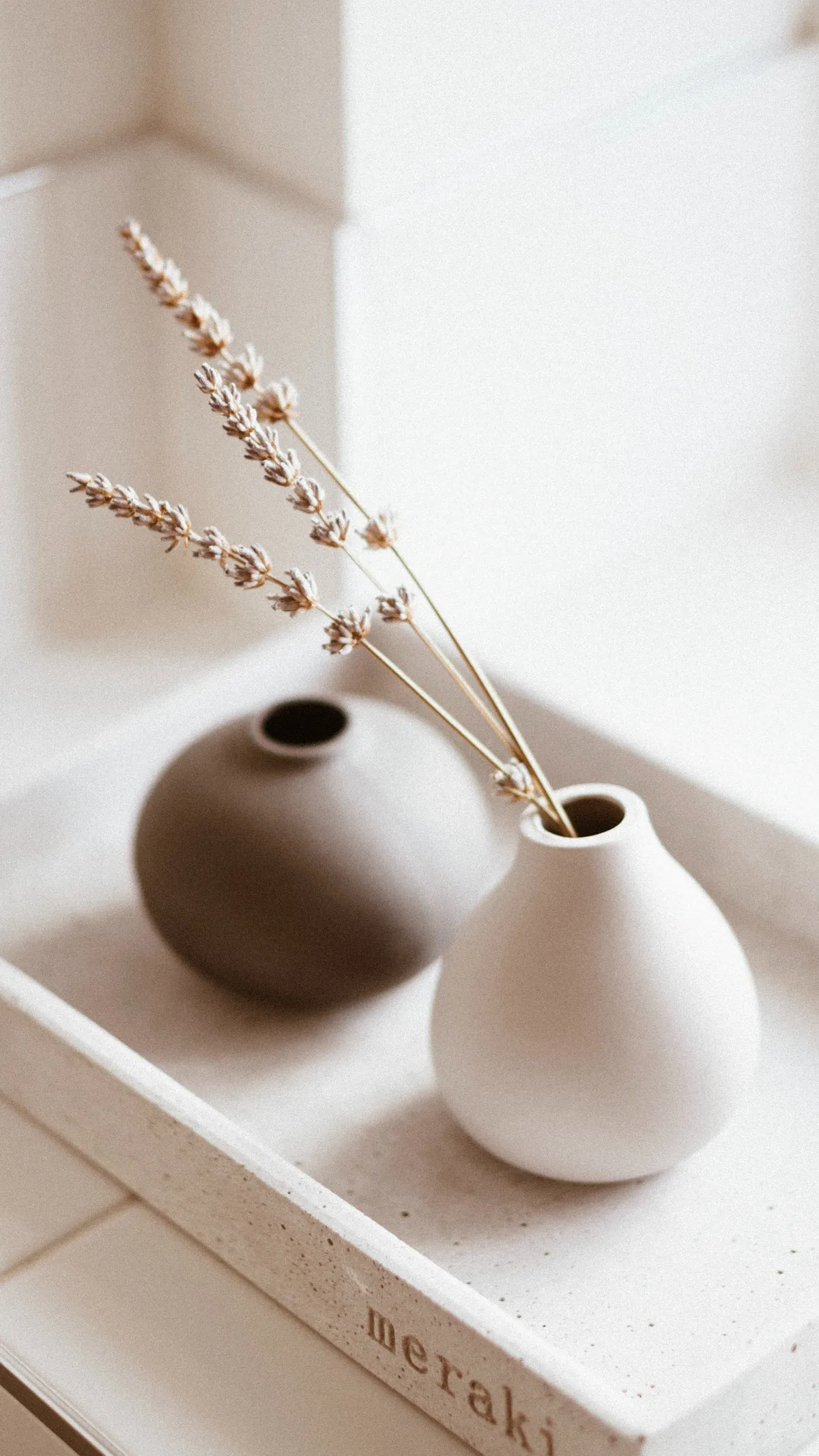 Ceramic vases holding dried grass stems